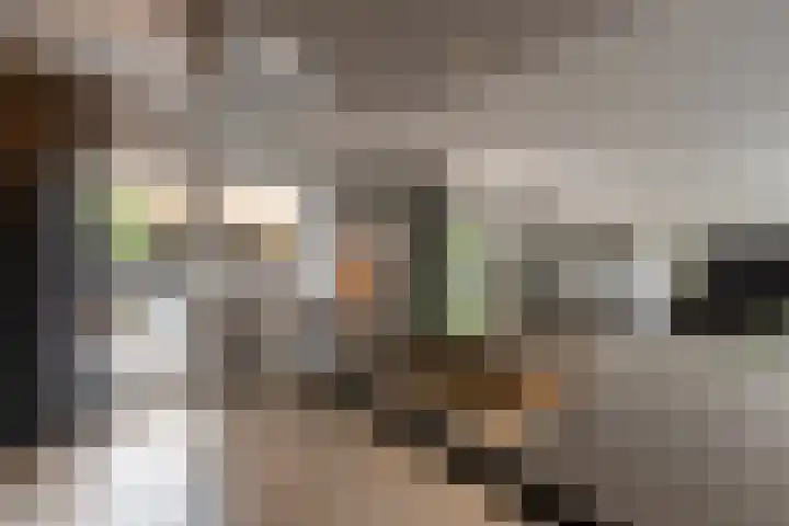 't Hoogt 32 Strijen thumbnail 13