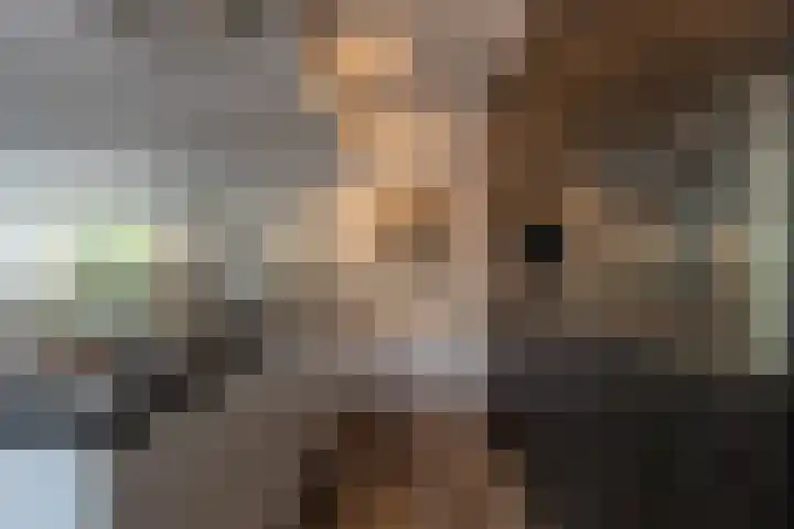 't Hoogt 32 Strijen thumbnail 14