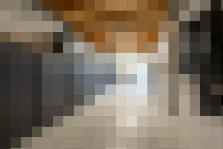 't Hoogt 32 Strijen thumbnail 15