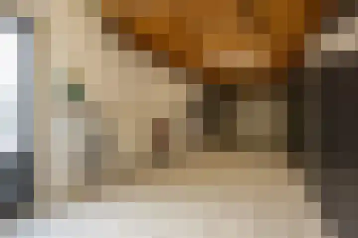 't Hoogt 32 Strijen thumbnail 16
