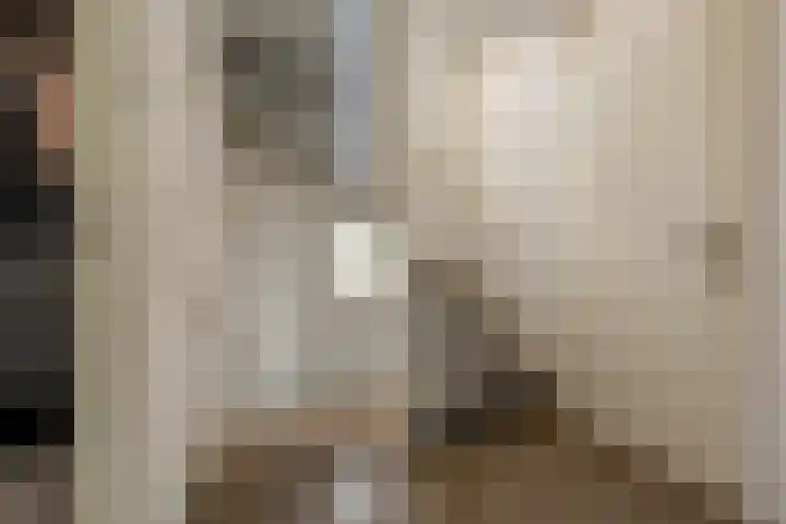 't Hoogt 32 Strijen thumbnail 17