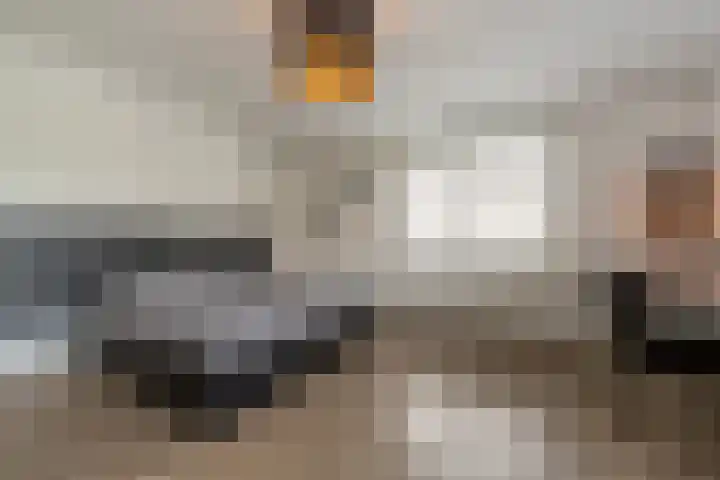 't Hoogt 32 Strijen thumbnail 18