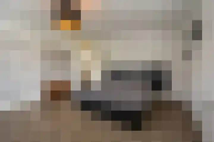 't Hoogt 32 Strijen thumbnail 19