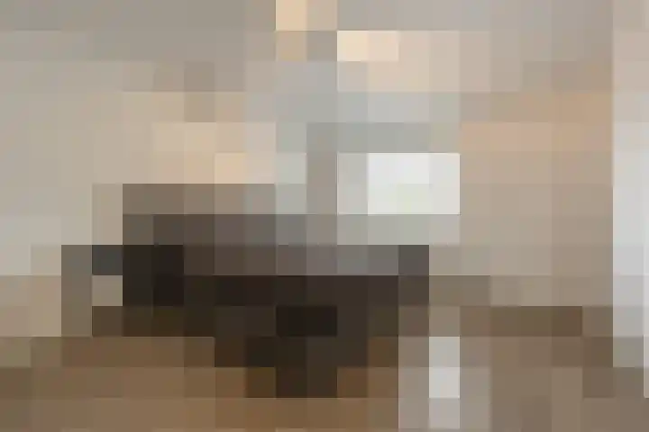 't Hoogt 32 Strijen thumbnail 20