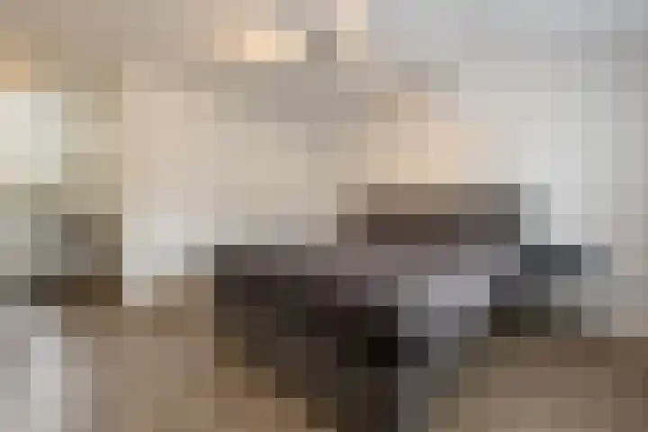 't Hoogt 32 Strijen thumbnail 21