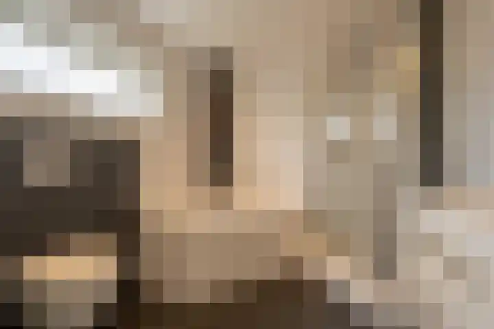 't Hoogt 32 Strijen thumbnail 24