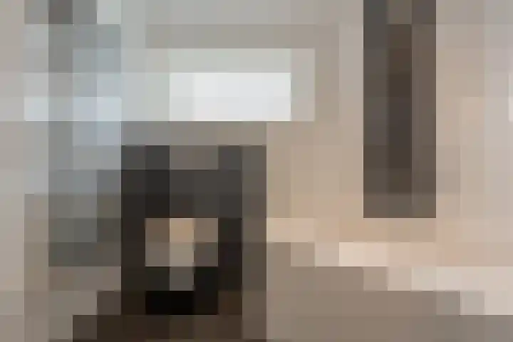 't Hoogt 32 Strijen thumbnail 26