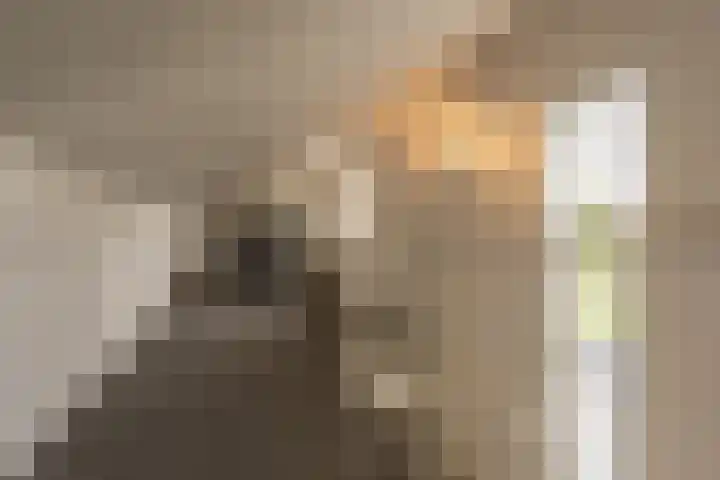 't Hoogt 32 Strijen thumbnail 27