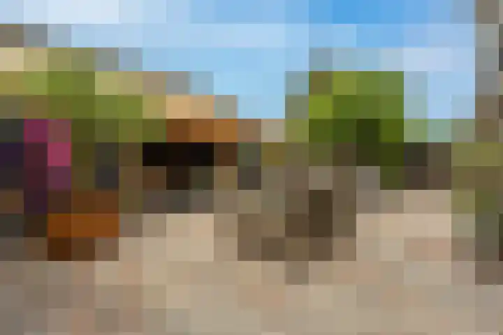 't Hoogt 32 Strijen thumbnail 29