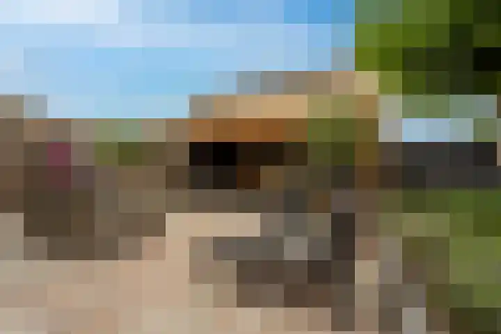't Hoogt 32 Strijen thumbnail 30