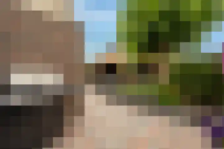 't Hoogt 32 Strijen thumbnail 31