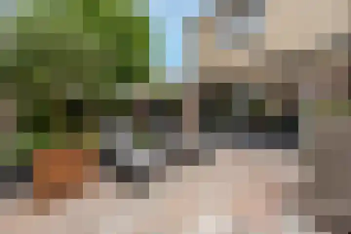 't Hoogt 32 Strijen thumbnail 32