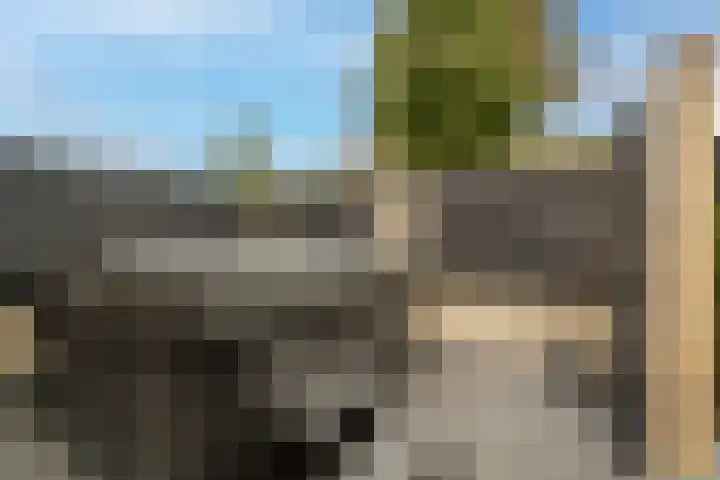 't Hoogt 32 Strijen thumbnail 33