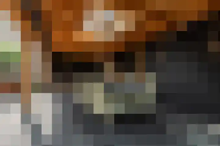't Hoogt 32 Strijen thumbnail 35