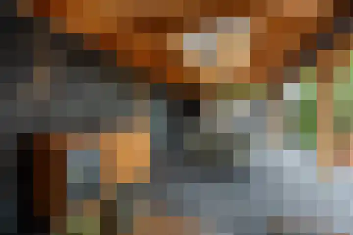 't Hoogt 32 Strijen thumbnail 37