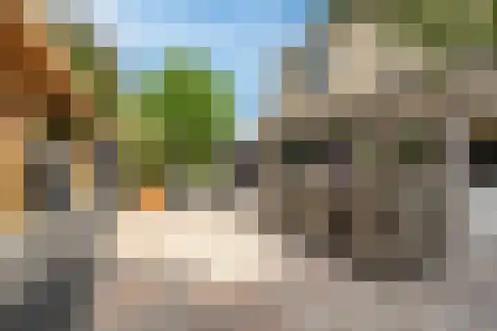 't Hoogt 32 Strijen thumbnail 38