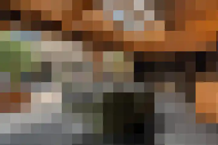 't Hoogt 32 Strijen thumbnail 4
