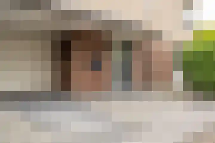 't Hoogt 32 Strijen thumbnail 40