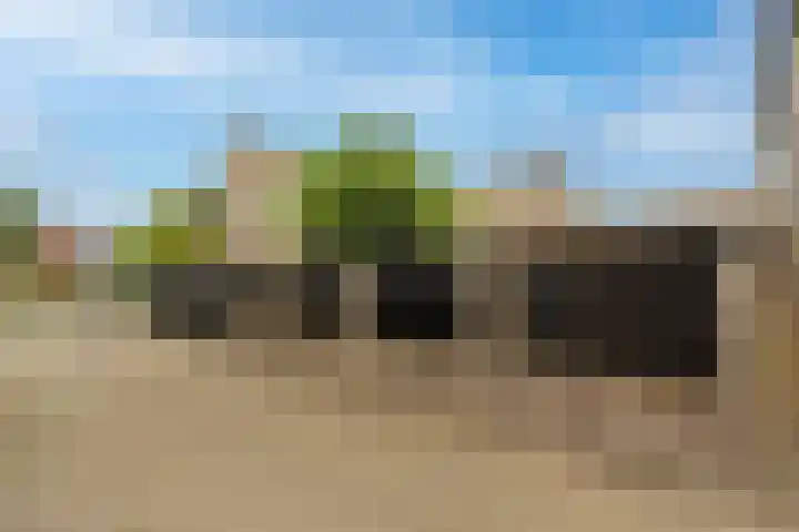 't Hoogt 32 Strijen thumbnail 42
