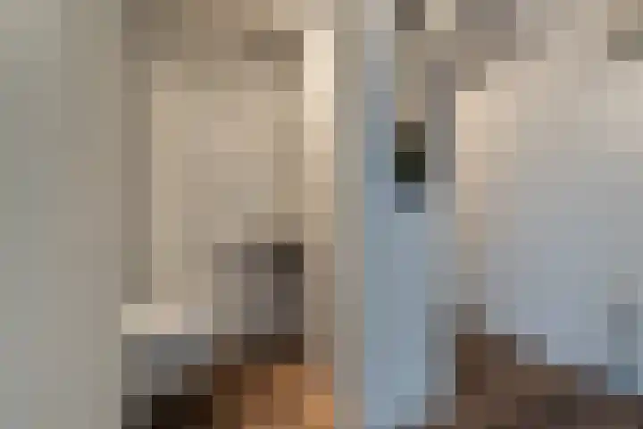 't Hoogt 32 Strijen thumbnail 6