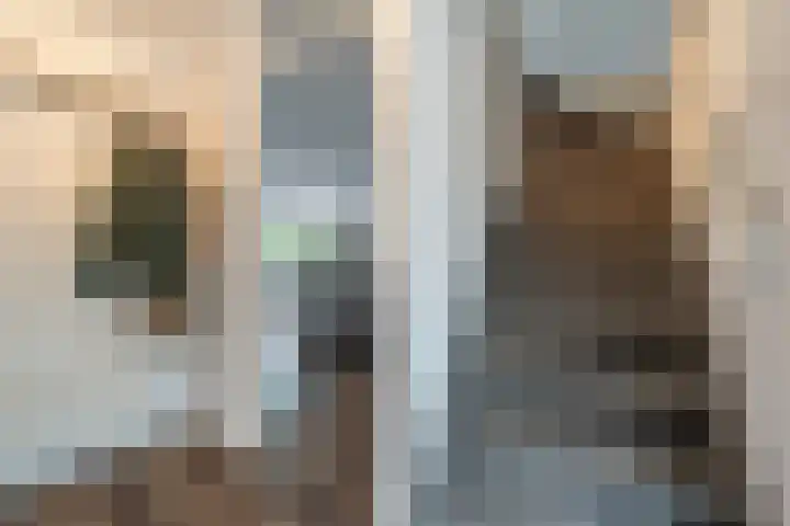't Hoogt 32 Strijen thumbnail 7