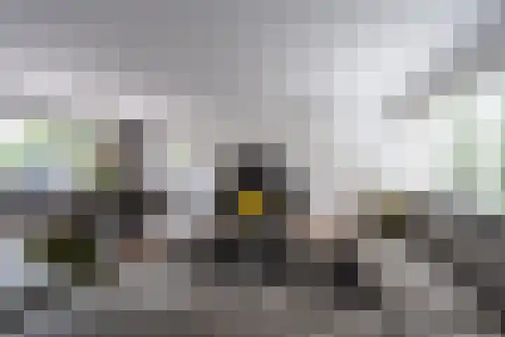 't Hoogt 32 Strijen thumbnail 8
