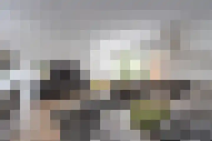 't Hoogt 32 Strijen thumbnail 9