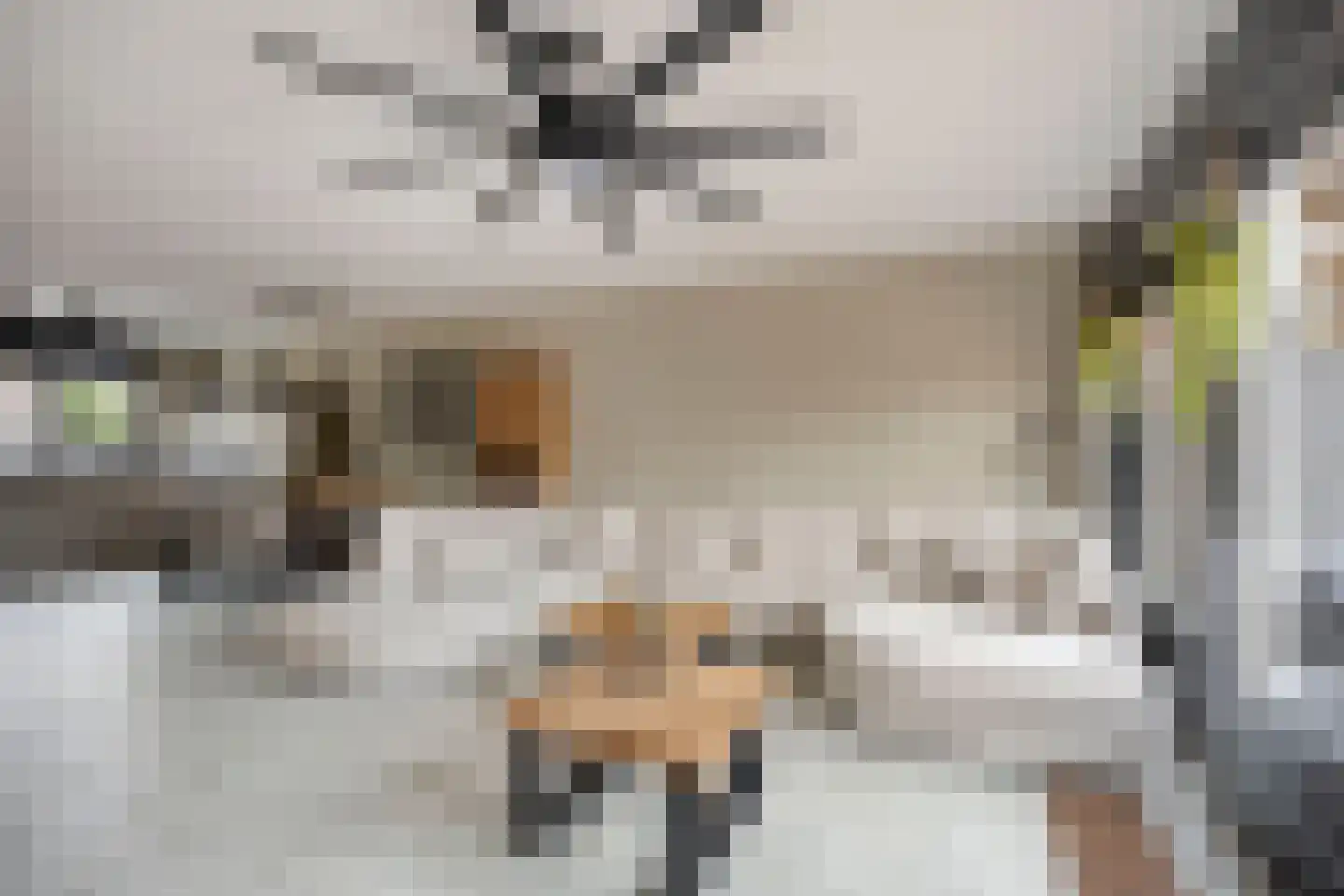 't Hoogt 34 Strijen thumbnail 11