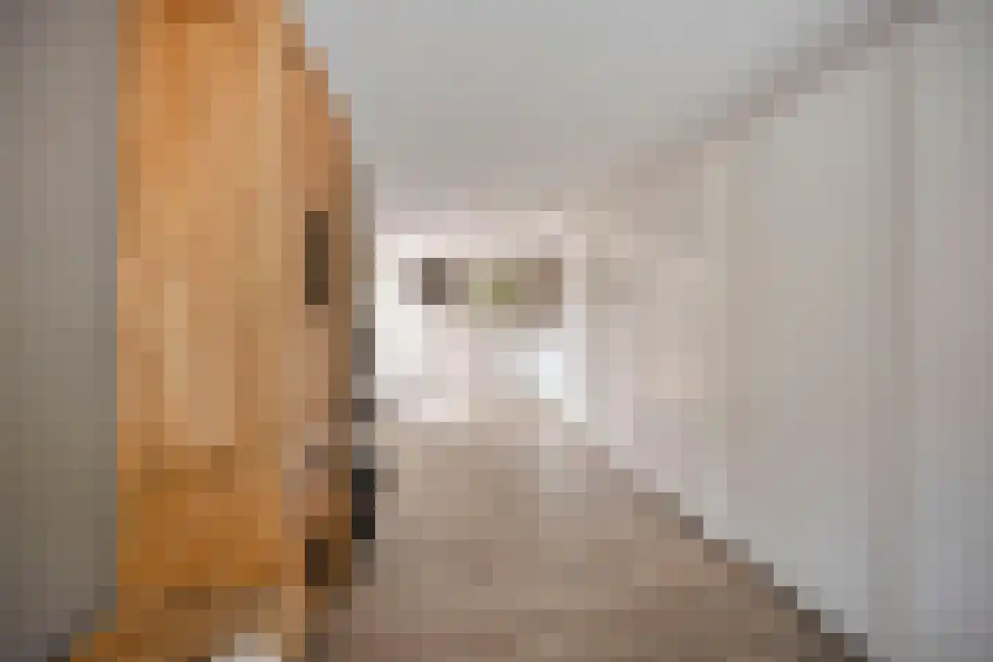 't Hoogt 34 Strijen thumbnail 17