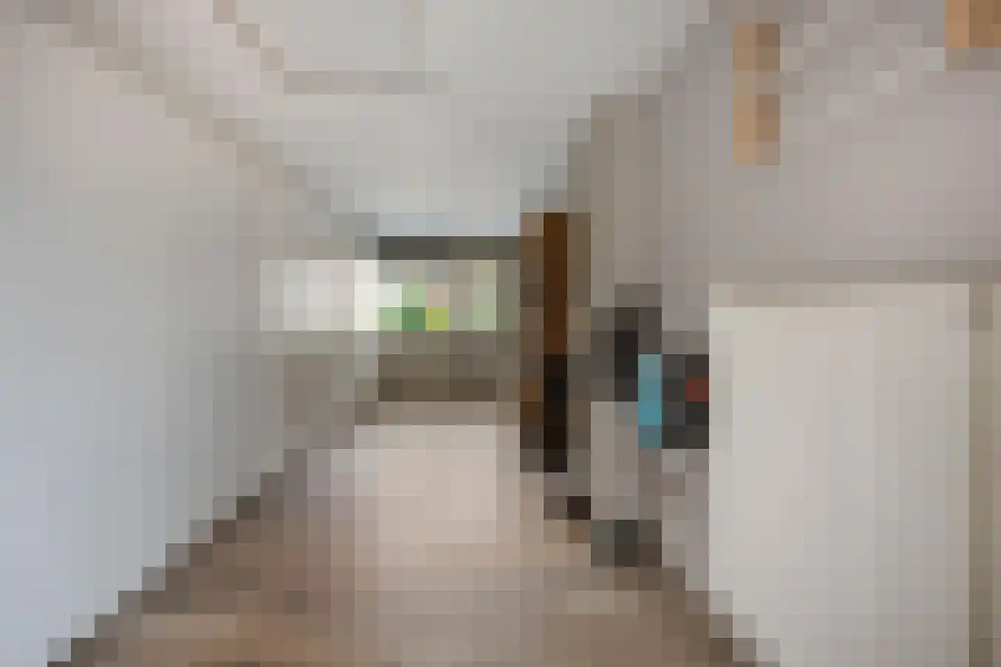 't Hoogt 34 Strijen thumbnail 18