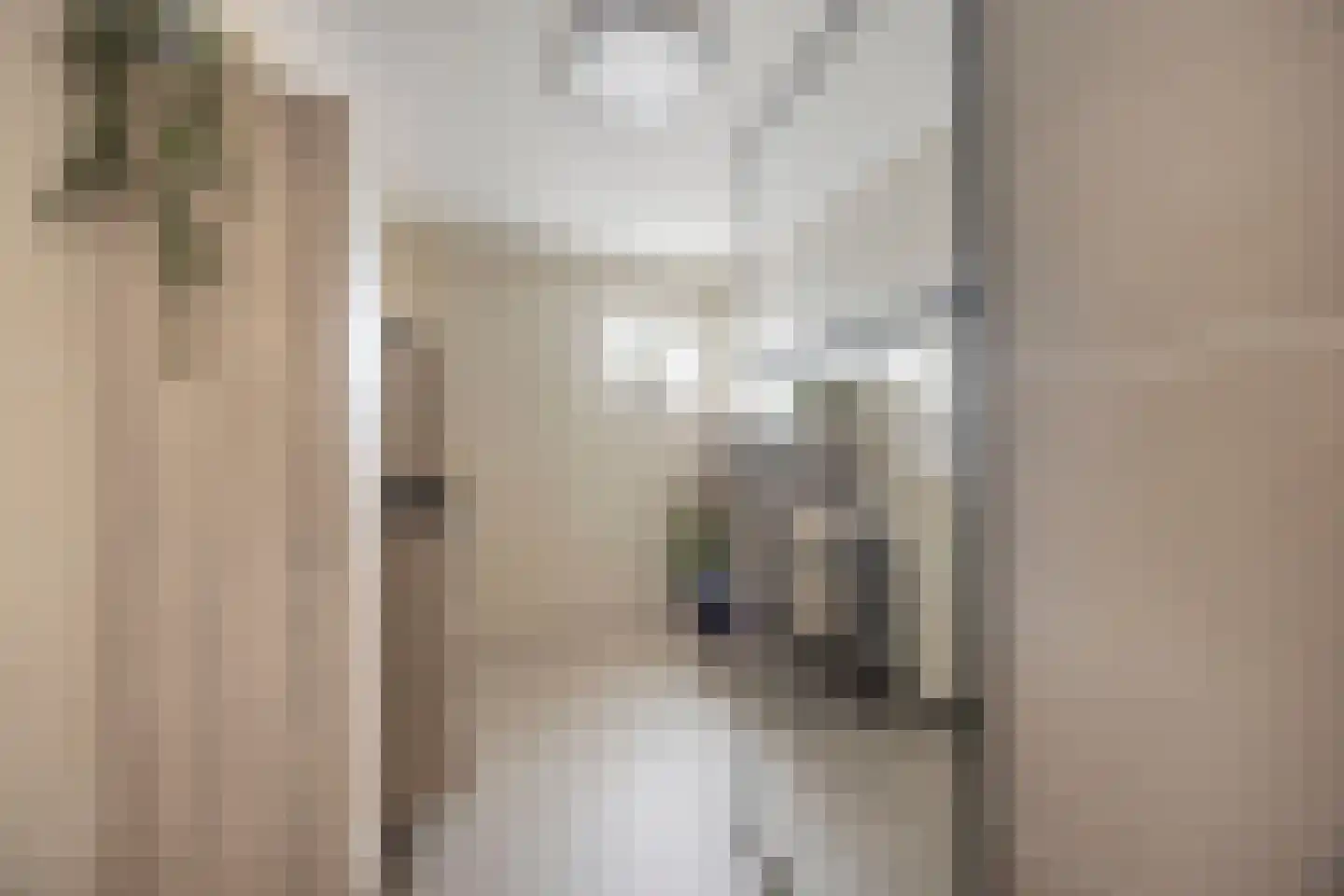 't Hoogt 34 Strijen thumbnail 23