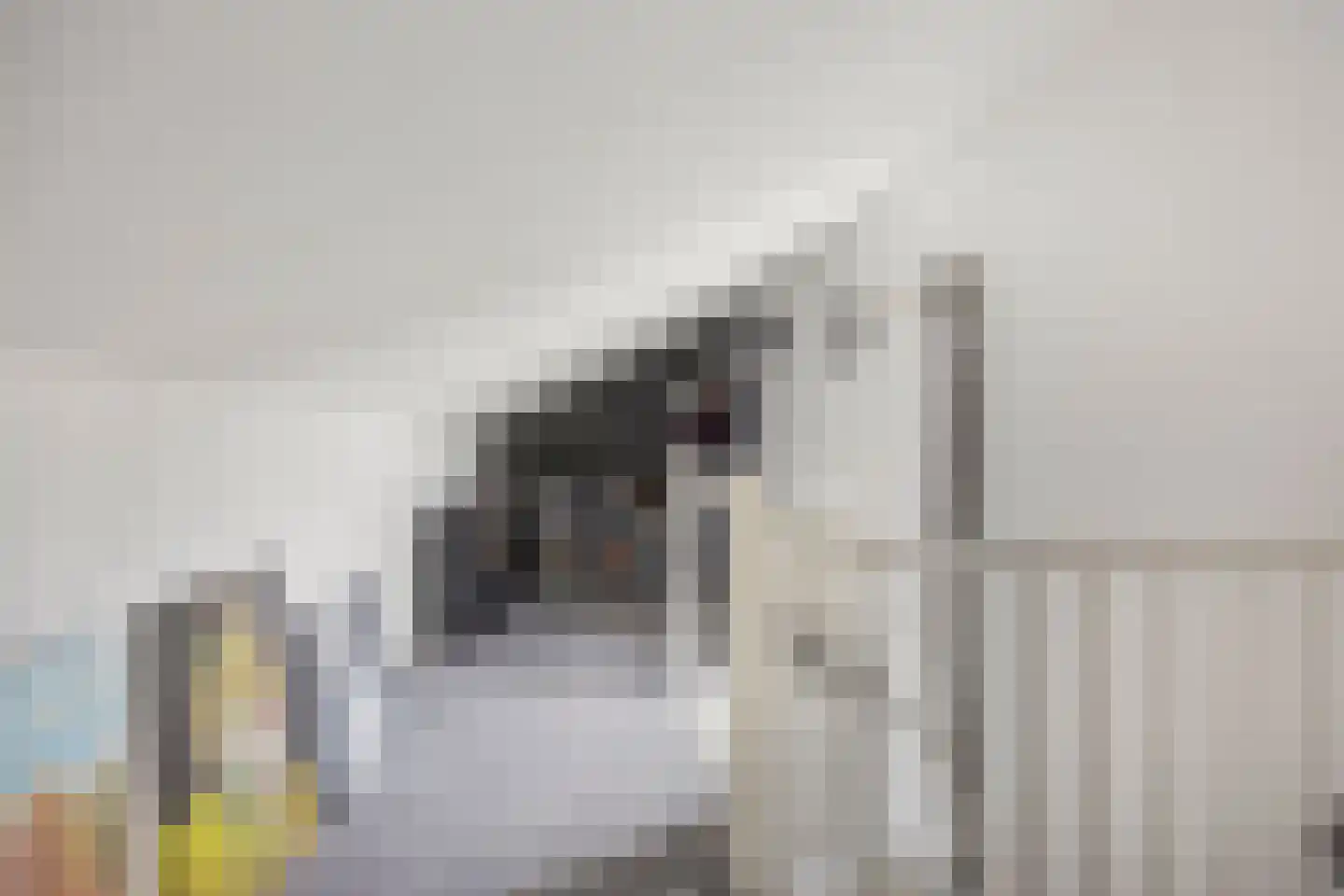 't Hoogt 34 Strijen thumbnail 29