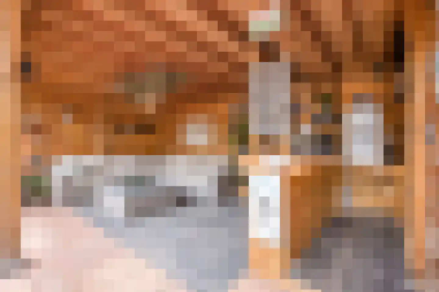 't Hoogt 34 Strijen thumbnail 32
