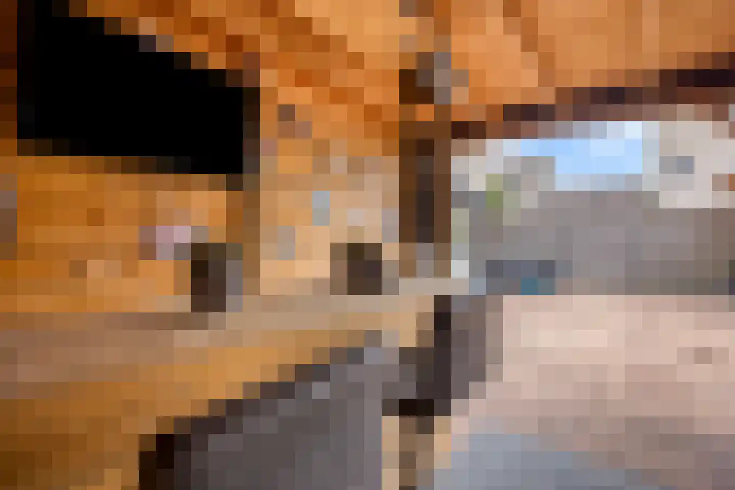 't Hoogt 34 Strijen thumbnail 33