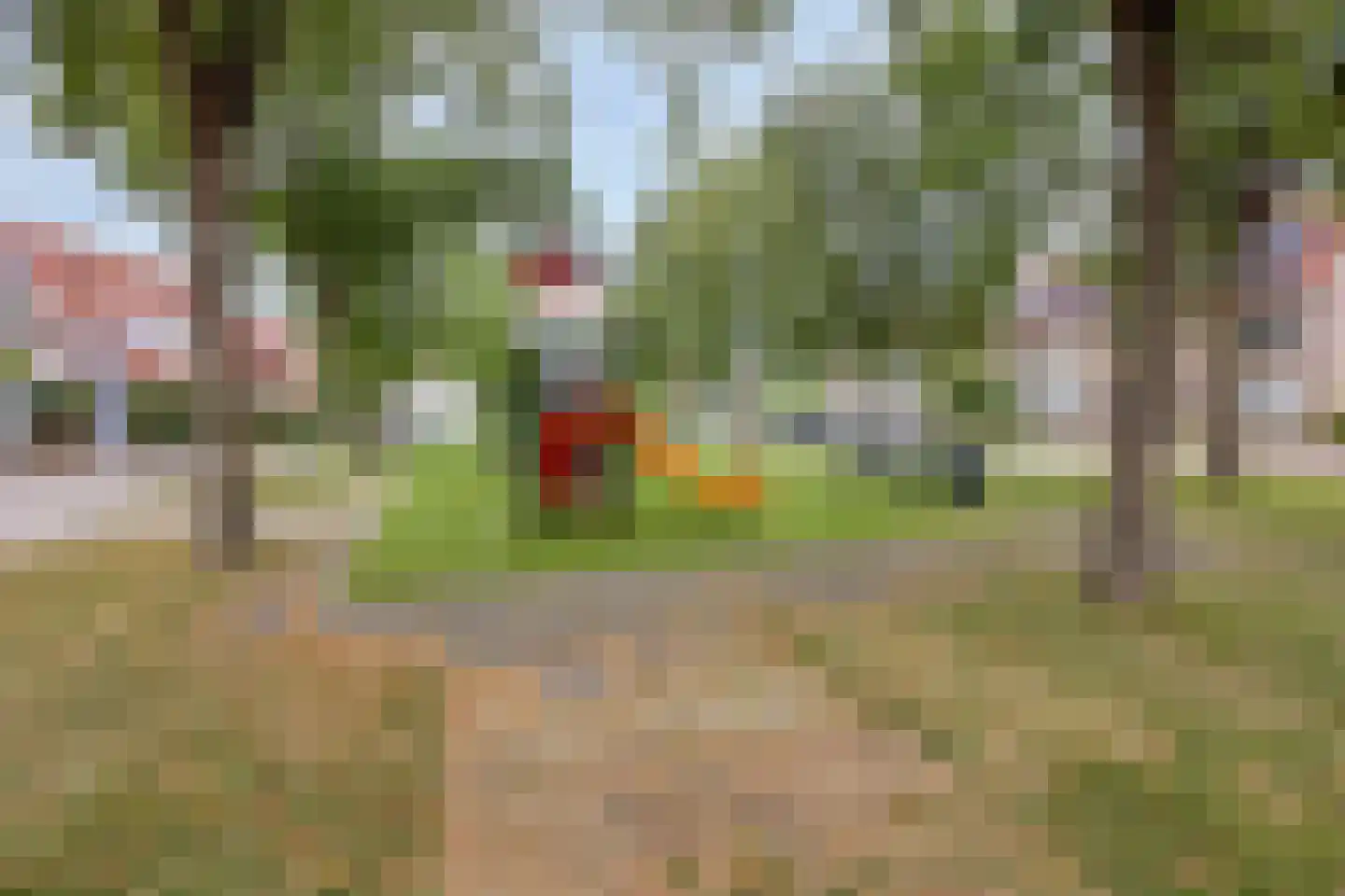 't Hoogt 34 Strijen thumbnail 36