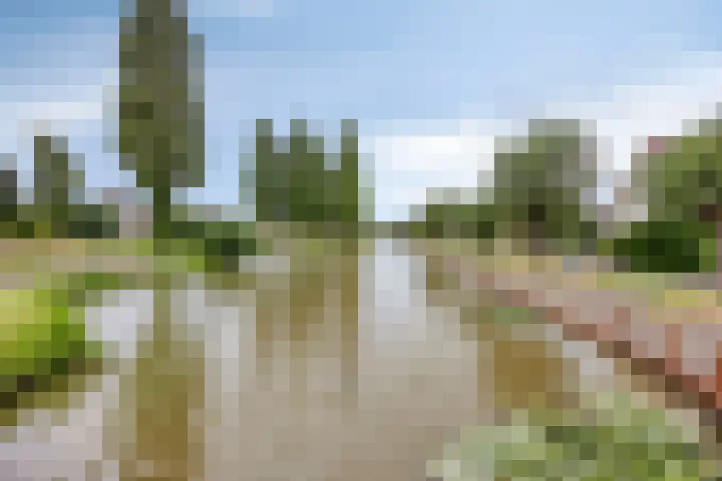't Hoogt 34 Strijen thumbnail 37