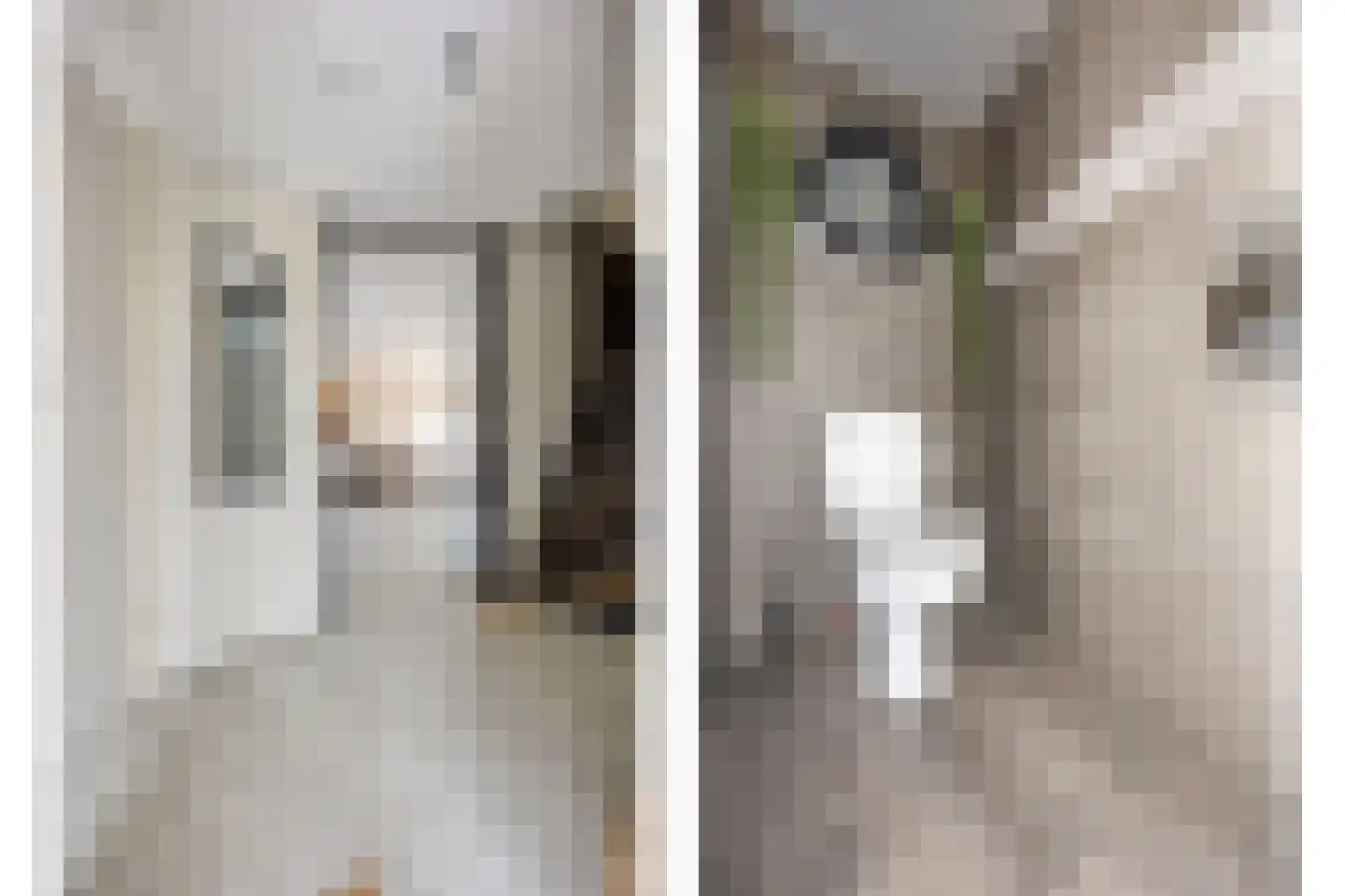 't Hoogt 34 Strijen thumbnail 8