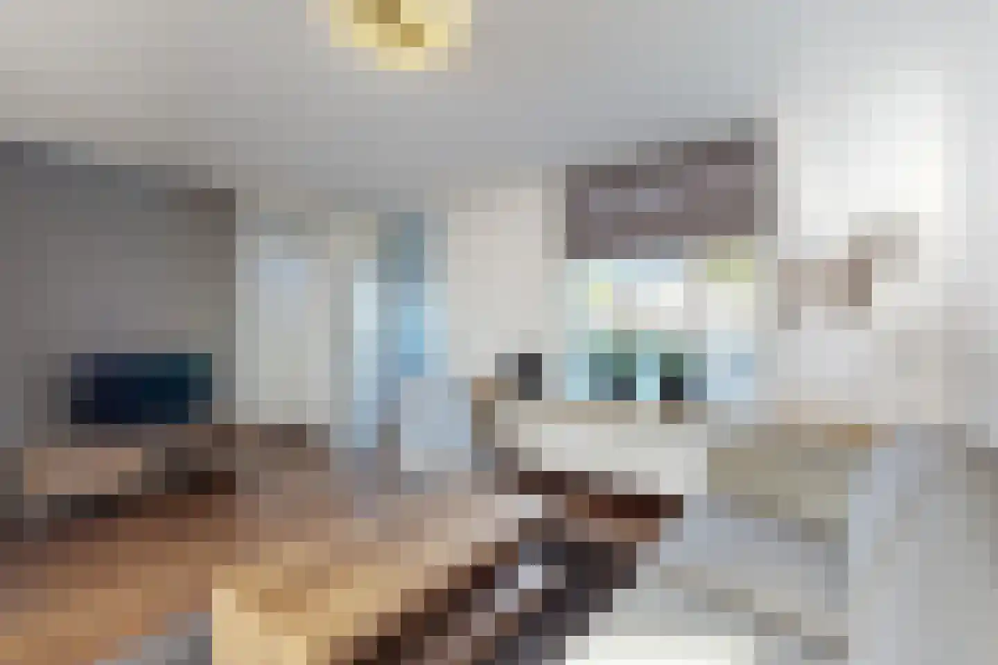 't Hooren Werck 1 Klundert thumbnail 12
