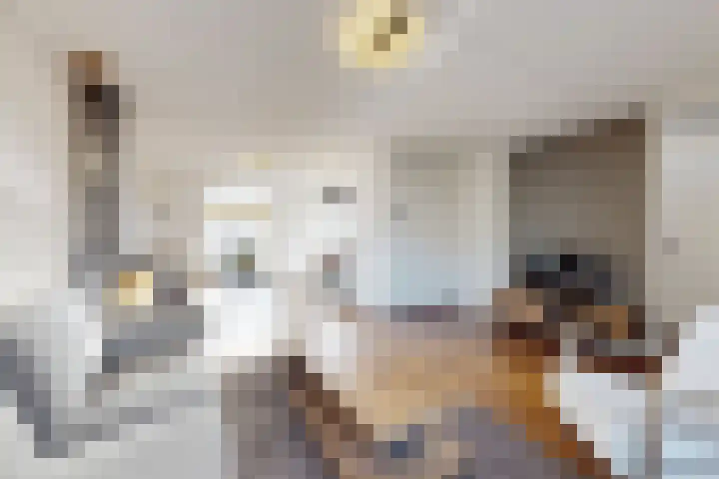 't Hooren Werck 1 Klundert thumbnail 15