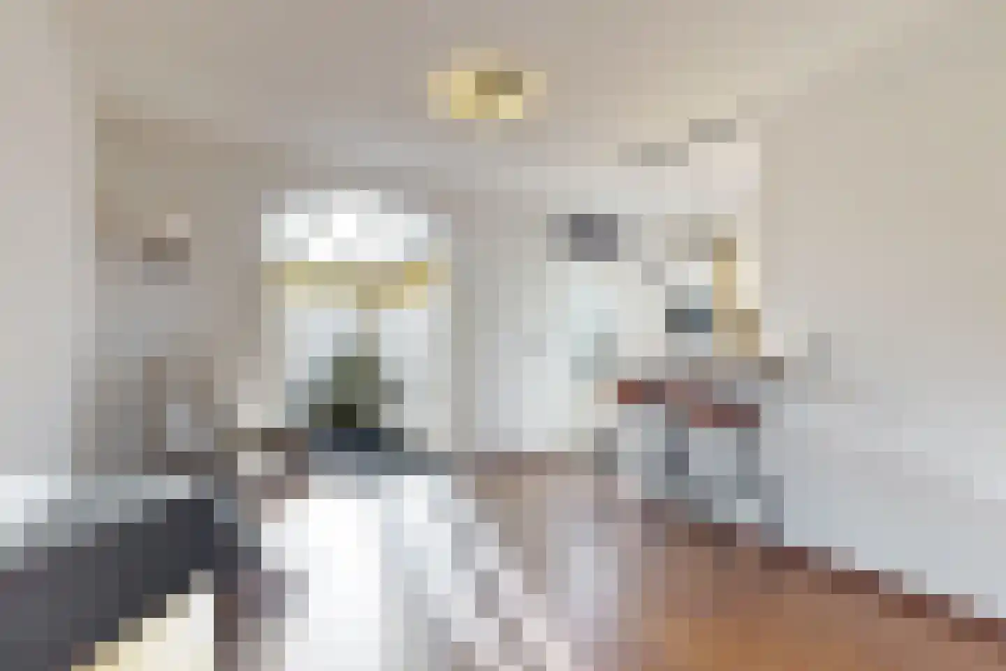 't Hooren Werck 1 Klundert thumbnail 17