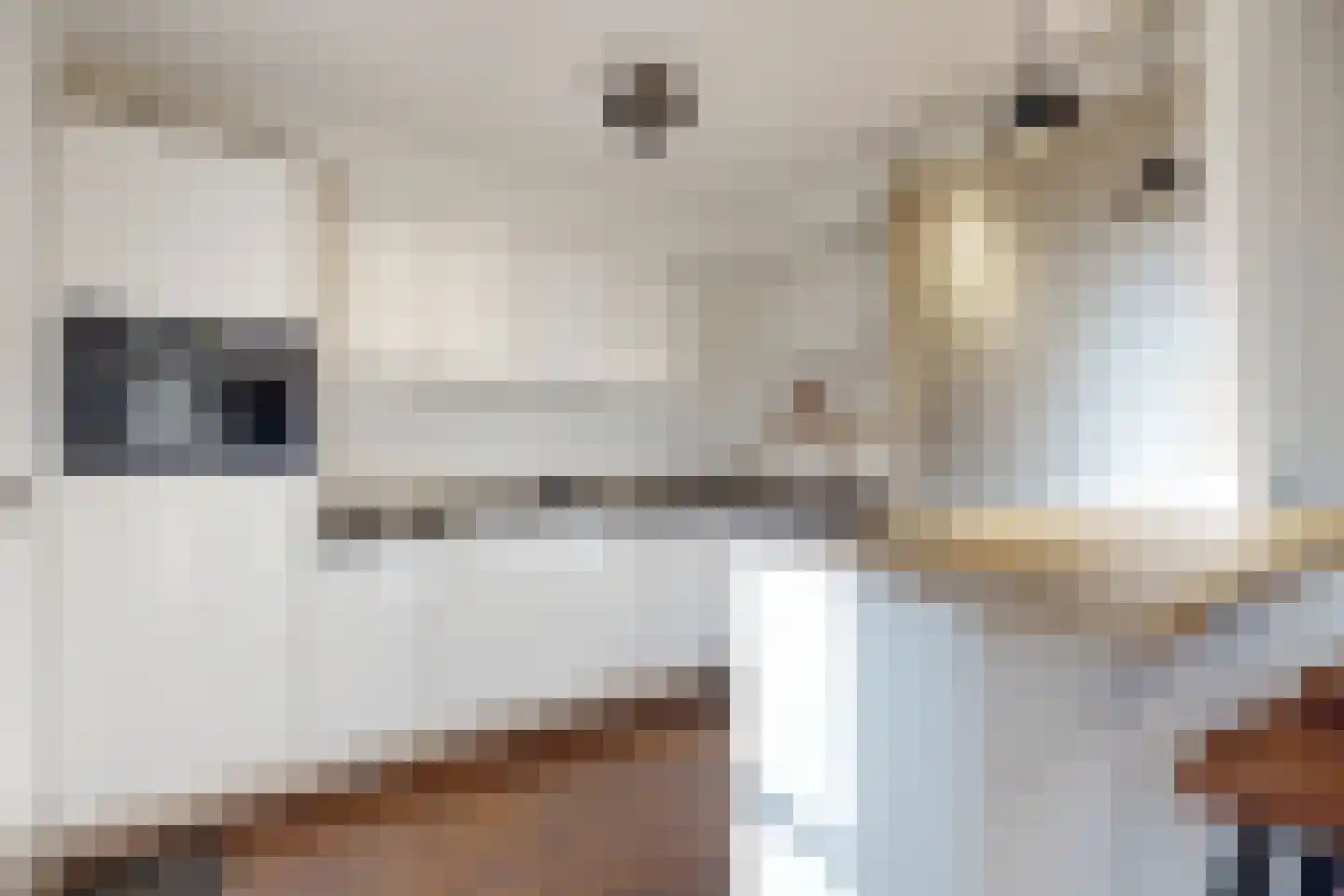 't Hooren Werck 1 Klundert thumbnail 22