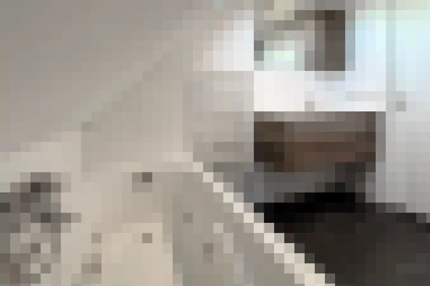 't Hooren Werck 1 Klundert thumbnail 48
