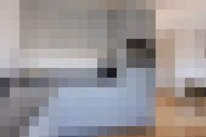 't Hooren Werck 8 Klundert thumbnail 14