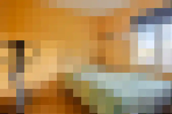't Hooren Werck 8 Klundert thumbnail 20