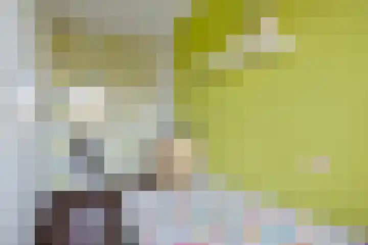 't Hooren Werck 8 Klundert thumbnail 23