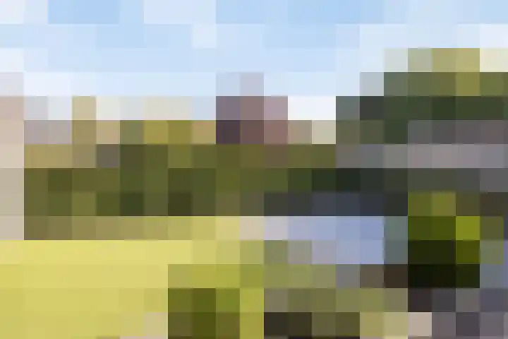't Hooren Werck 8 Klundert thumbnail 32