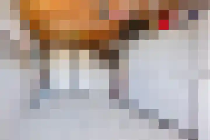't Hooren Werck 8 Klundert thumbnail 35