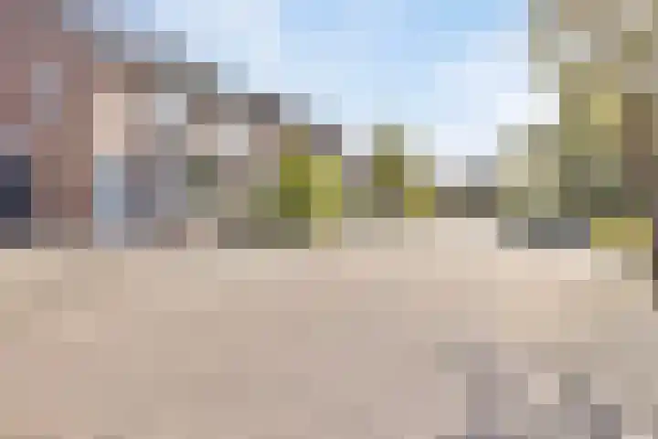 't Hooren Werck 8 Klundert thumbnail 38