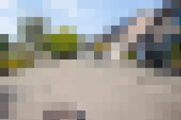 't Hooren Werck 8 Klundert thumbnail 39