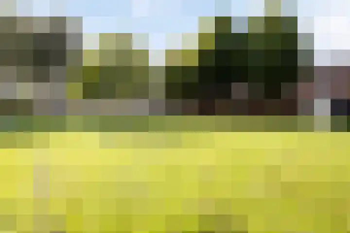 't Hooren Werck 8 Klundert thumbnail 40